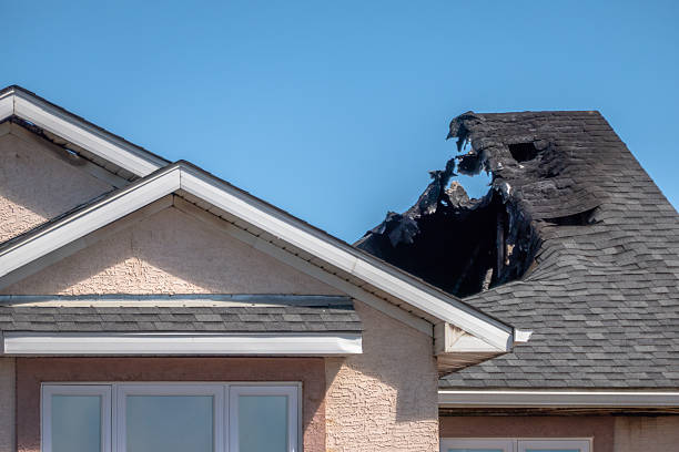 Top rated local Fire Damage Removal specialists in Lebanon, NJ